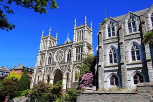 夢想照進現(xiàn)實 在新西蘭學習動漫技術開發(fā)，踏上成為下一個宮崎駿的旅程