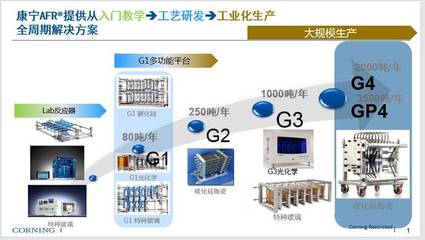 微通道反應器技術與工業化應用專題講座暨專家咨詢會圓滿結束